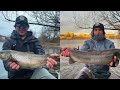 Steelhead &amp; Brown Trout Centerpin Float Fishing Beads | Late November Egg Bite