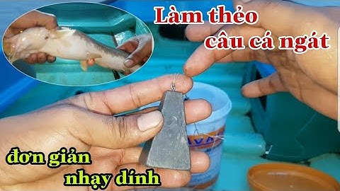 Chia sẻ làm thẻo câu cá ngát cực kỳ đơn giản và nhạy dính_cho anh em mới tập câu