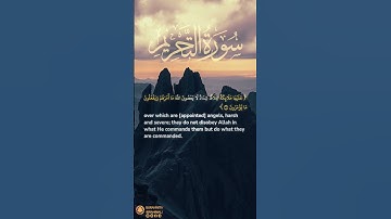 سورة التحريم آية ٦ | ﴿ يا أيها الذين آمنوا قوا أنفسكم وأهليكم نارا ﴾ | Surah At Tahrim Ayah 6