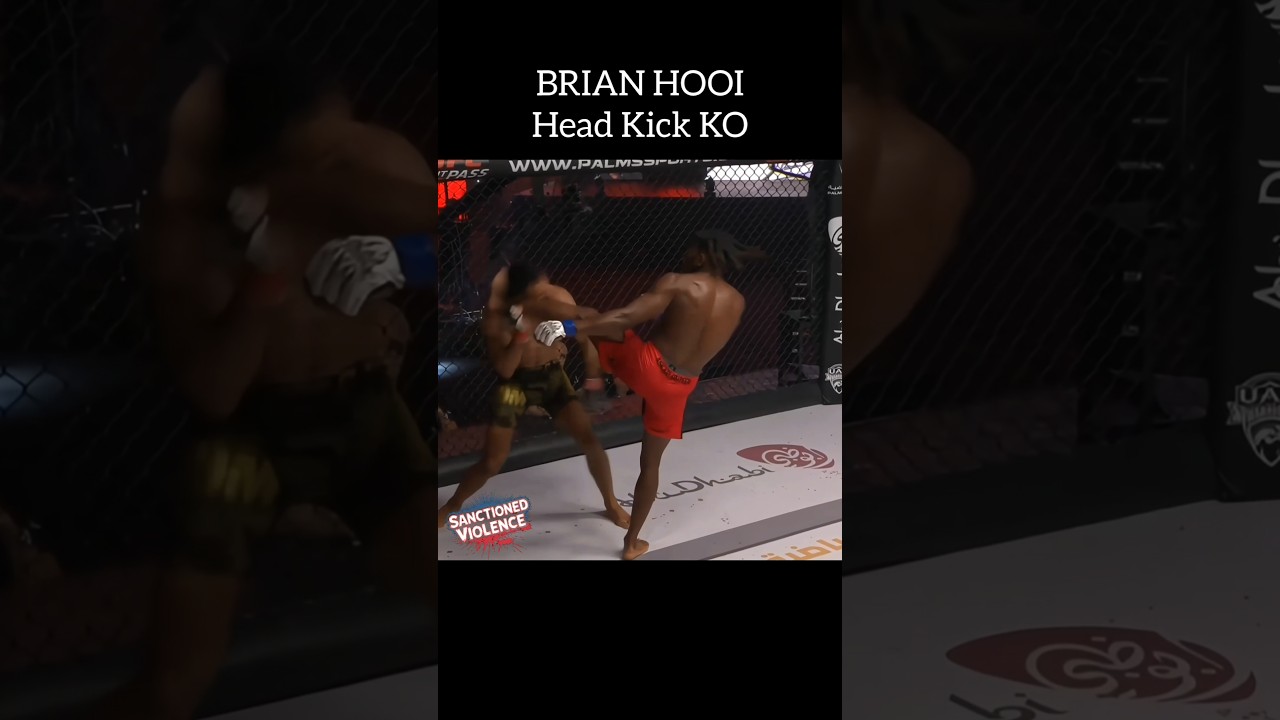 Нокаутирующий удар ногой в голову! 