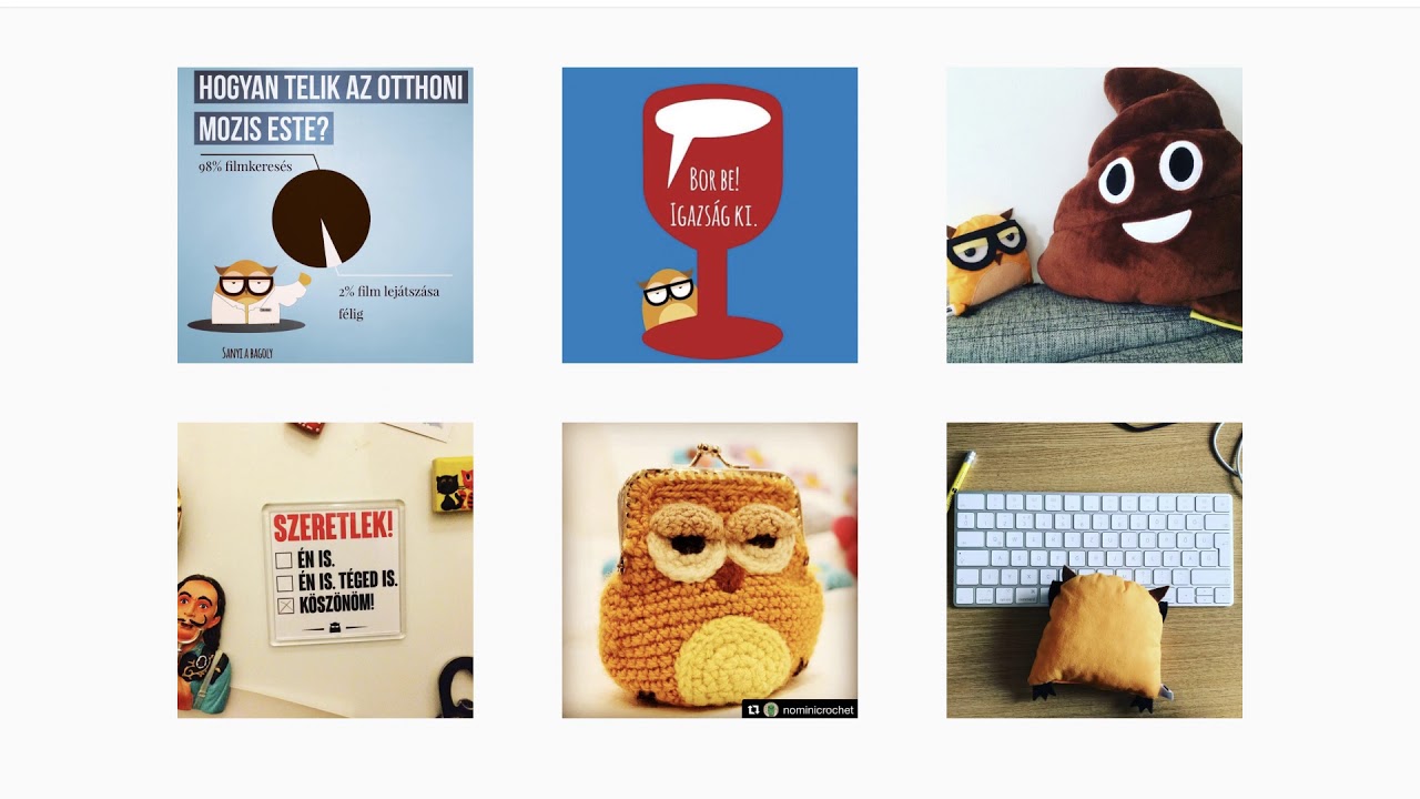 Sanyi a bagoly fészket épít