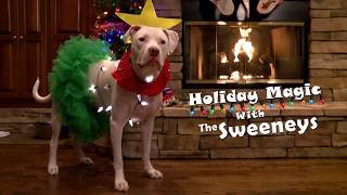Mark Sweeney Holiday Commercial 2019
