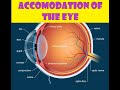 Understanding Accommodation in the Eye