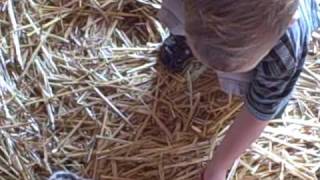 Sep 27 2008 VID00012