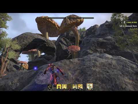 Elder Scrolls Online- The great Psijic Loot Portal Hunt Part 2