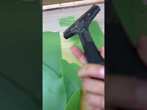 2026 02 01 14 48 IMG 0046 