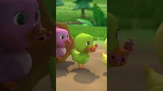 LAGU ANAK-ANAK Cit Cit Cuit Burung bernyanyi #laguanak #lagucitcitcuit #burungbernyanyi #laguanak