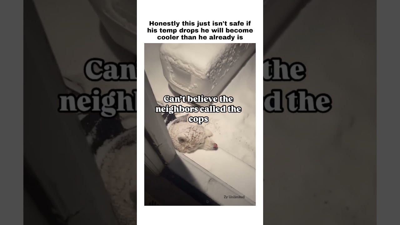 Have people never realized wild animals stay outside in the cold? 