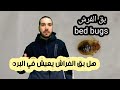 هل بق الفراش Bed Bugs يعيش في البرد او الشتاء 