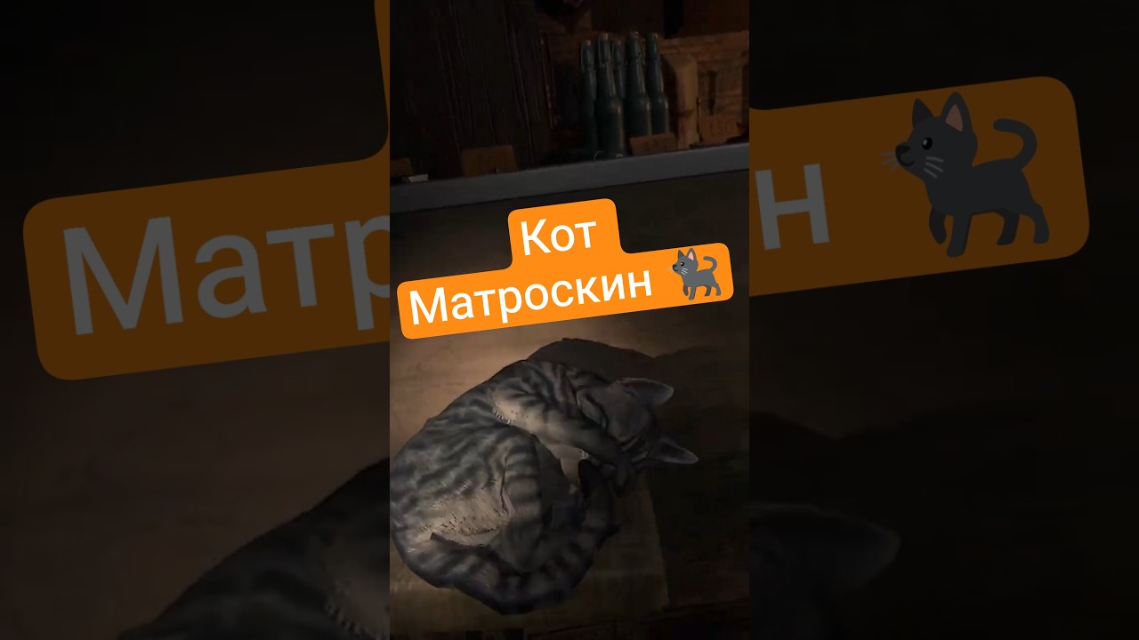 Кот Матроскин 🐈‍⬛ 