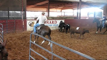 Valley View Ranch - Top Dual - sorting with new rider - 1