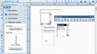 Publisher 2003 Tutorial Working with Form Controls Microsoft Training Lesson 10.2