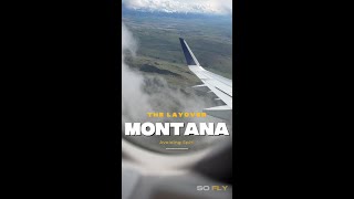 ✈️ 1 Night Flight Attendant Layover in Bozeman, Montana | Mountains, Food & Alpaca Adventures! 🦙🏔️