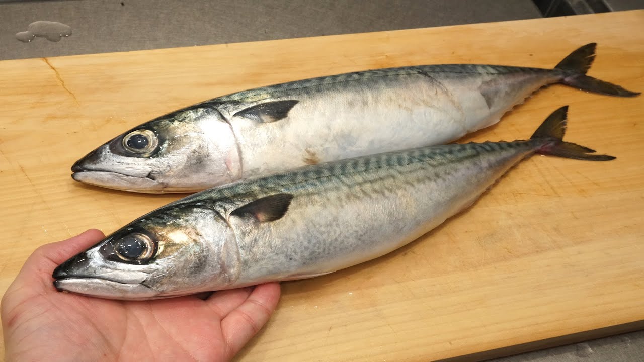 サバの捌き方と塩焼き 骨抜きして食べやすい Youtube