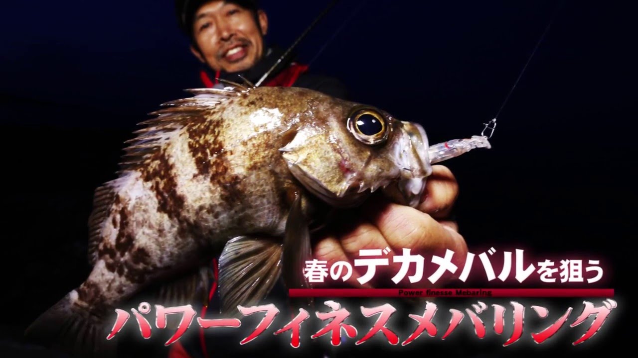 富山でデカメバルを狙う パワーフィネス メバリングとは つりにいく 富山でデカメバルを狙う パワーフィネス メバリングとは つりにいく