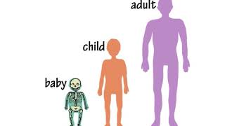 4a Skeletons by Peter Weatherall
