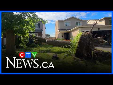 Severe storm cleanup leaves thousands without <strong>power</strong>