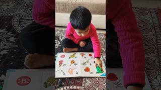 Learn Hindi Letters Through Matching Games #hindi #hindiswar  #hindilearning #हिंदी #हिन्दी #shorts