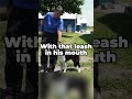 STOP Your Dog From Biting The Leash While You Walk!