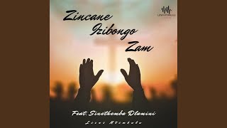 Zincane Izibongo zam (feat. Sinethemba Dlamini)