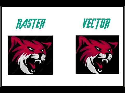 Raster File Cat Example Creating Raster Cat Logo into the Vector in Adobe Illustrator CC 2019 ...