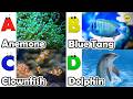 ABC phonics animals | ABC Sea Animals song | English and Animals for Kids | Alphabet Kid Song | Baby