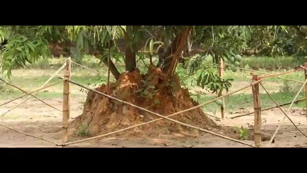 shredder SRI SANJEVI RAJASWAMIGAL IN