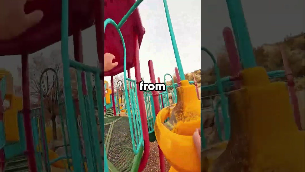 Bathtub Alligator Emotional Support Animal 🐊🛁 