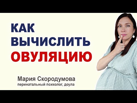 Как происходит овуляция? Как определить день зачатия?