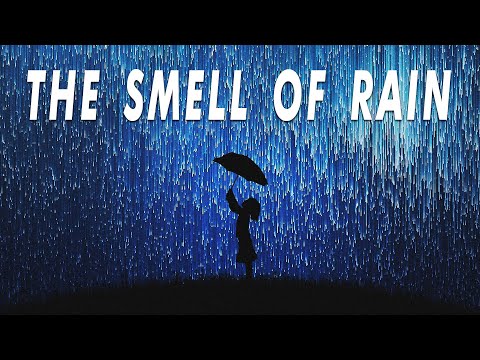 The smell of rain