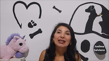 O que causa infecção no cachorro?