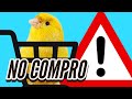 ¿POR QUÉ NO COMPRO PÁJAROS ESTE AÑO?