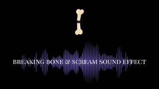 Breaking Bone And Man Scream Meme Funny Sound Effect
