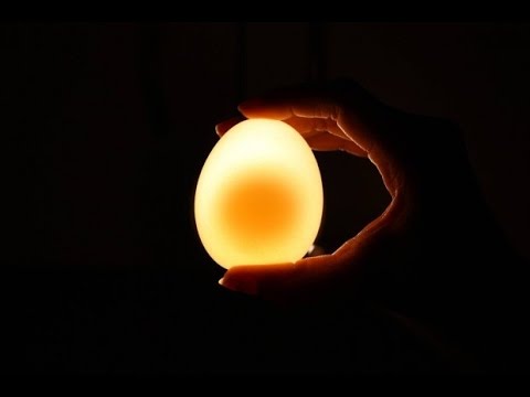 Эксперимент/ Experiments # 1: Яйцо в уксусе
