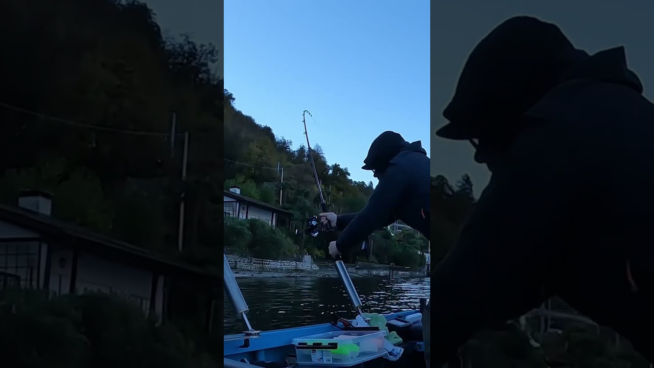 Luccio a traina sul Maggiore