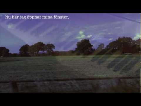 Michael Jeff Johnson - Det fattiga i mig