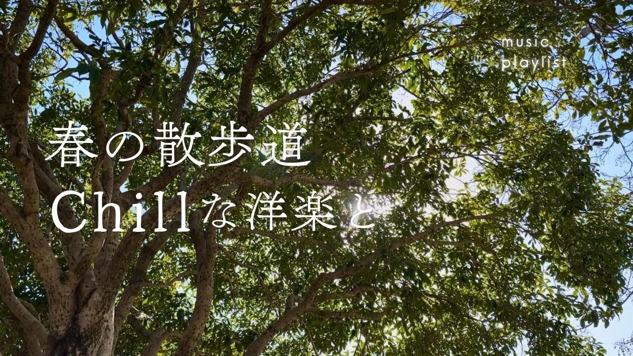 【Playlist】春の散歩道はお気に入りの洋楽と一緒に🌱｜作業用BGM｜Chill Music｜散歩・勉強・読書