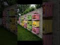 garden design,small garden,garden ideas,garden,small garden design,garden design ideas,small garden