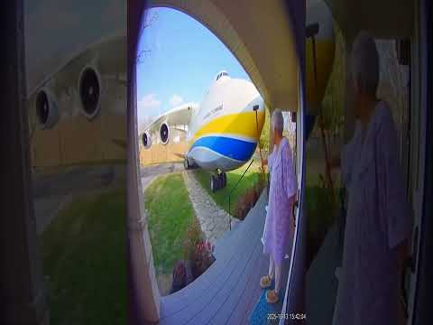 Grandma's INSANE Reaction to the World's BIGGEST Plane (AN-225 Mriya)