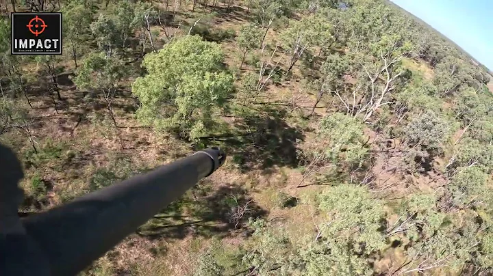 Helicopter Pig Shooting Australia in the bush (Short Video)