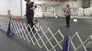 Reese First Time in Rally Novice