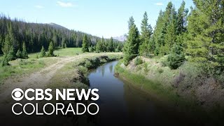 Colorado River Trail to close as wildlife officials remove invasive fish, reintroduce native ones