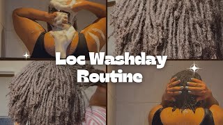 Loc washday | Microlocs washday routine (Deep clean, condition, scalp care) |  Maintenance Tips