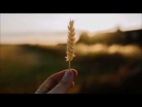 سابين يوه يوه