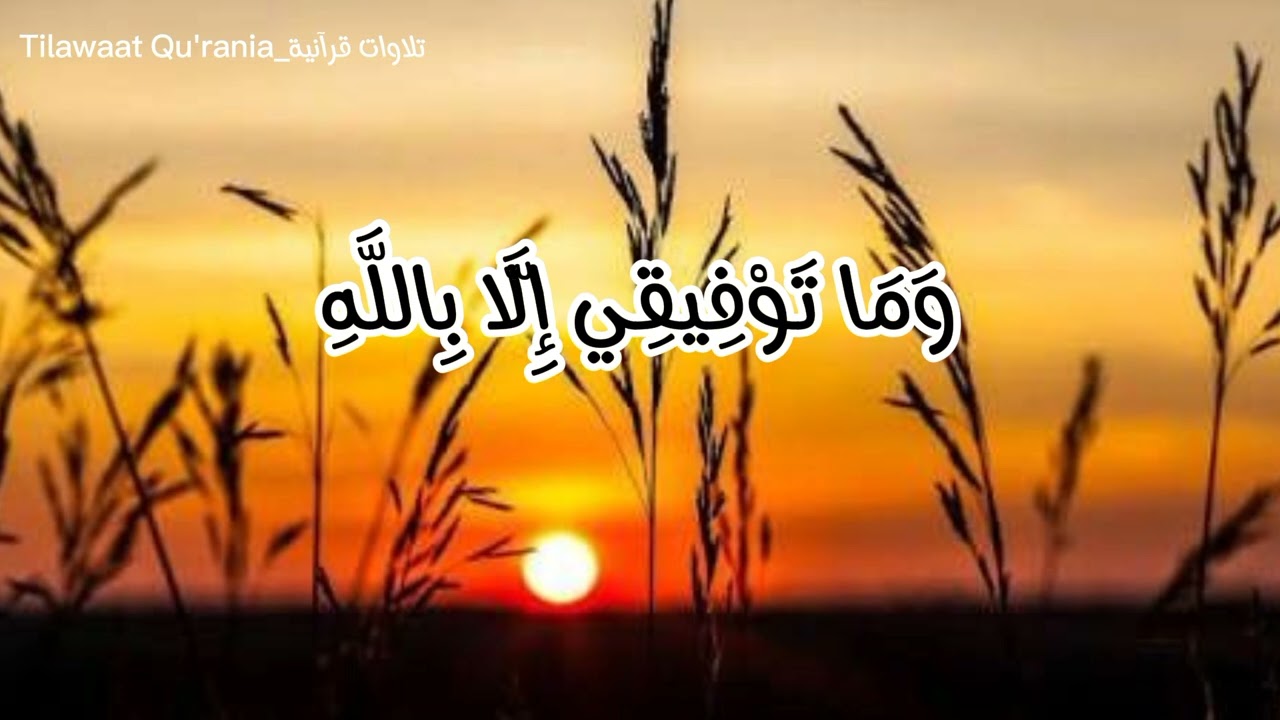 ساعة كاملة 🕛🎧 | تلاوة تقشعر لها الأبدان بصوت القارئ عبدالرحمن مسعد 🥺❤️ | Reciter Abdul Rahman Mossad