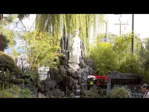 Our Lady of Lavang: The Global Symbol of Vietnamese Catholicism (2014)