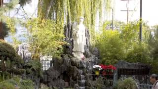 Our Lady of Lavang: The Global Symbol of Vietnamese Catholicism (2014)