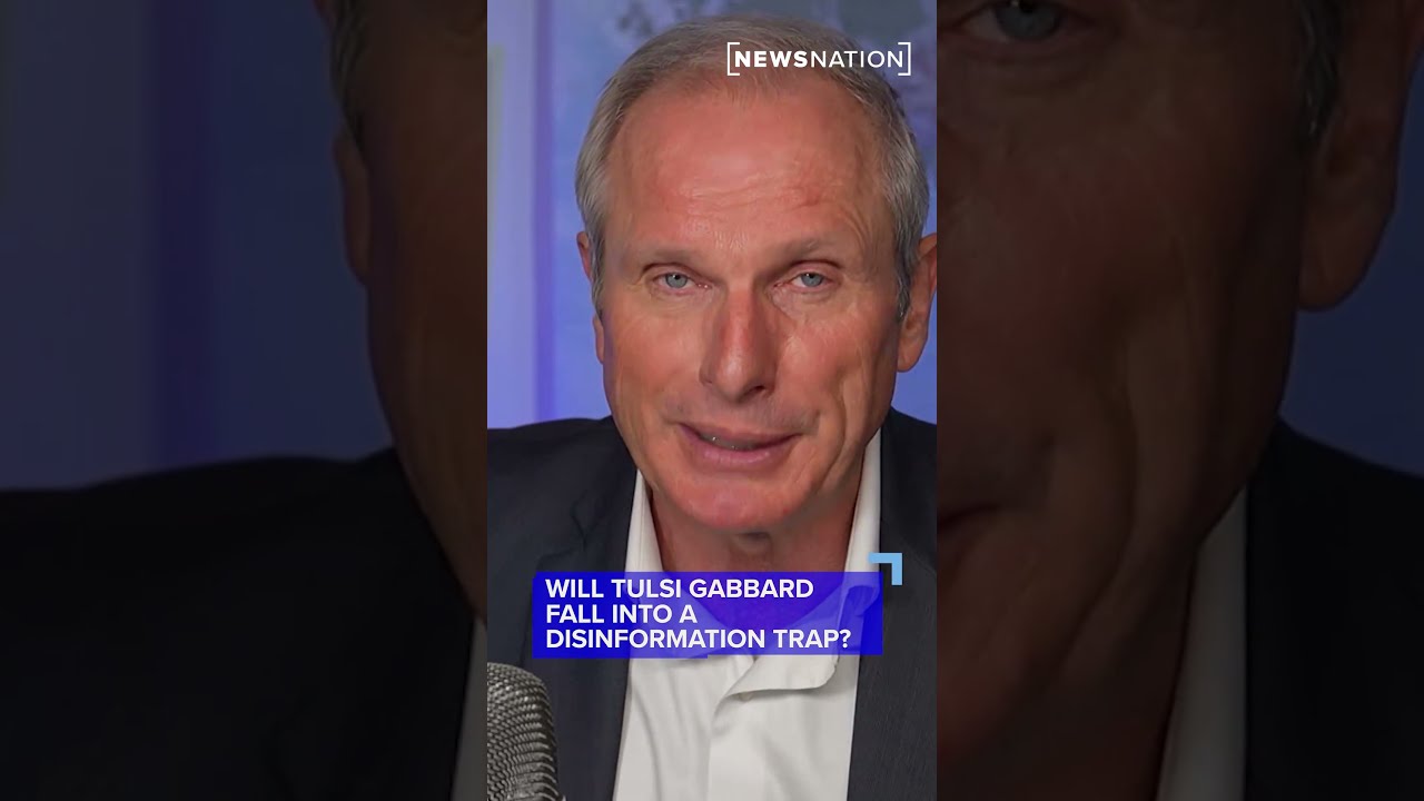 Will Tulsi Gabbard Fall Into A Disinformation Trap 
