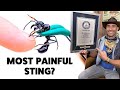 Coyote Peterson's Top 10 Videos - Guinness World Records