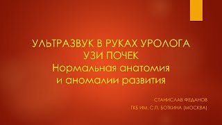 Ультразвук в руках уролога. УЗИ почек. Нормальная анатомия и аномалии развития